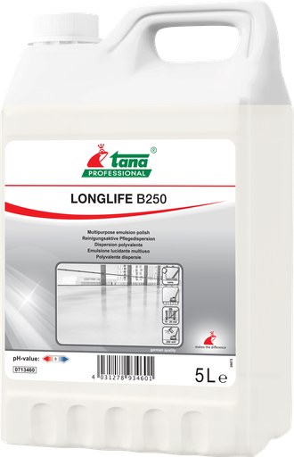 [713460] [738] B 250 Longlife  en 5L