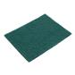 Pad/eponge vert abrasif 15x23cm -paquet de 10pces