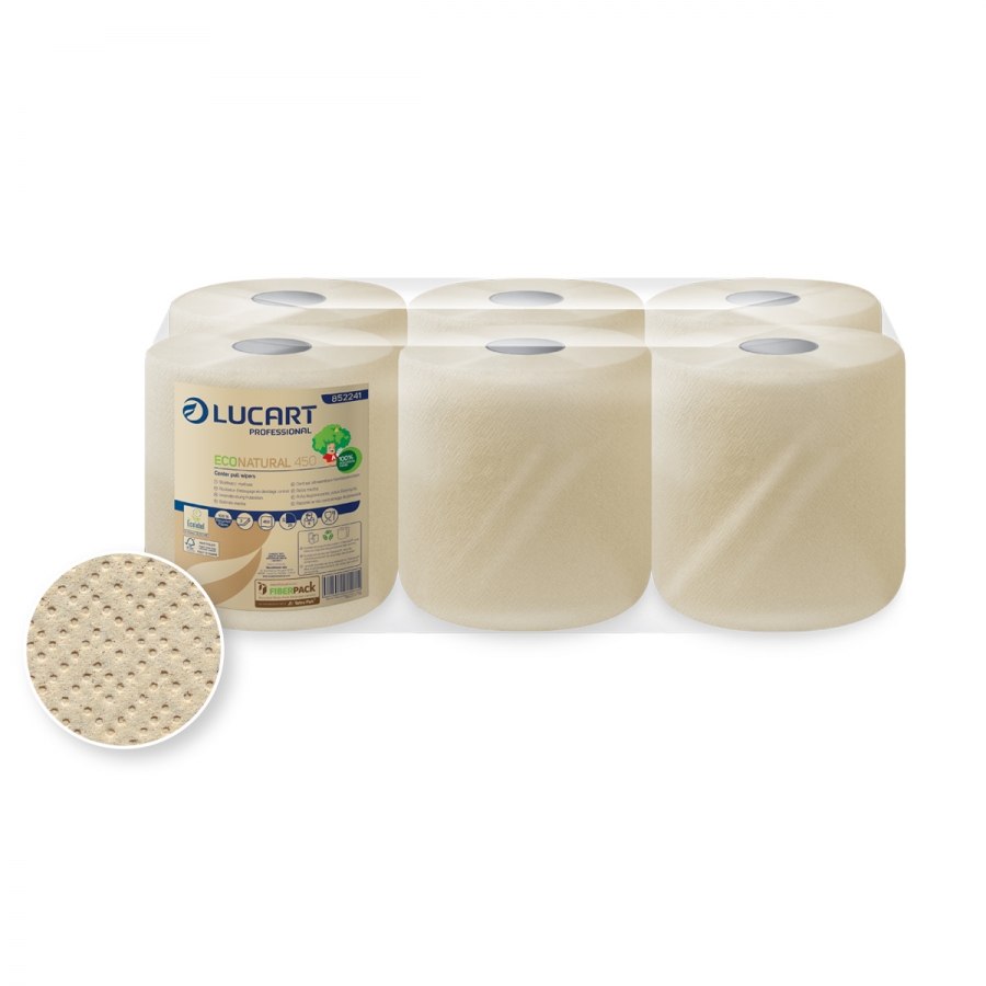 Rouleau Lucart EcoNatural 2plis 450 coupons x6Rlx