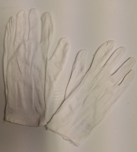 [177502] [5358] Gant Coton